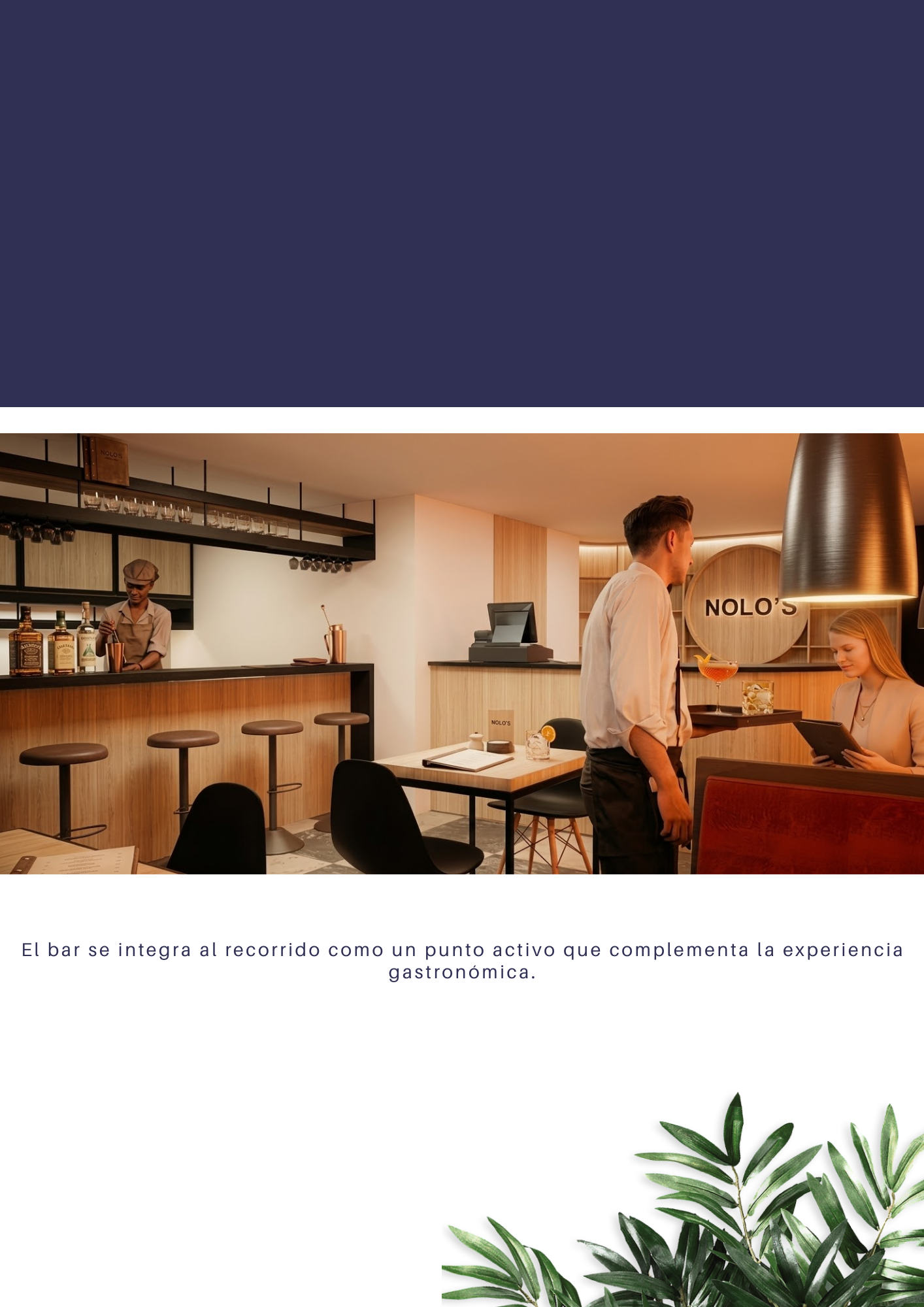 proyecto lonos pizza
